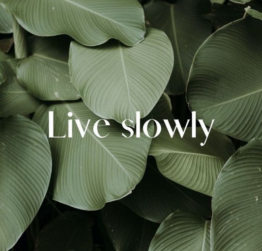 What Mindful living looks a like?